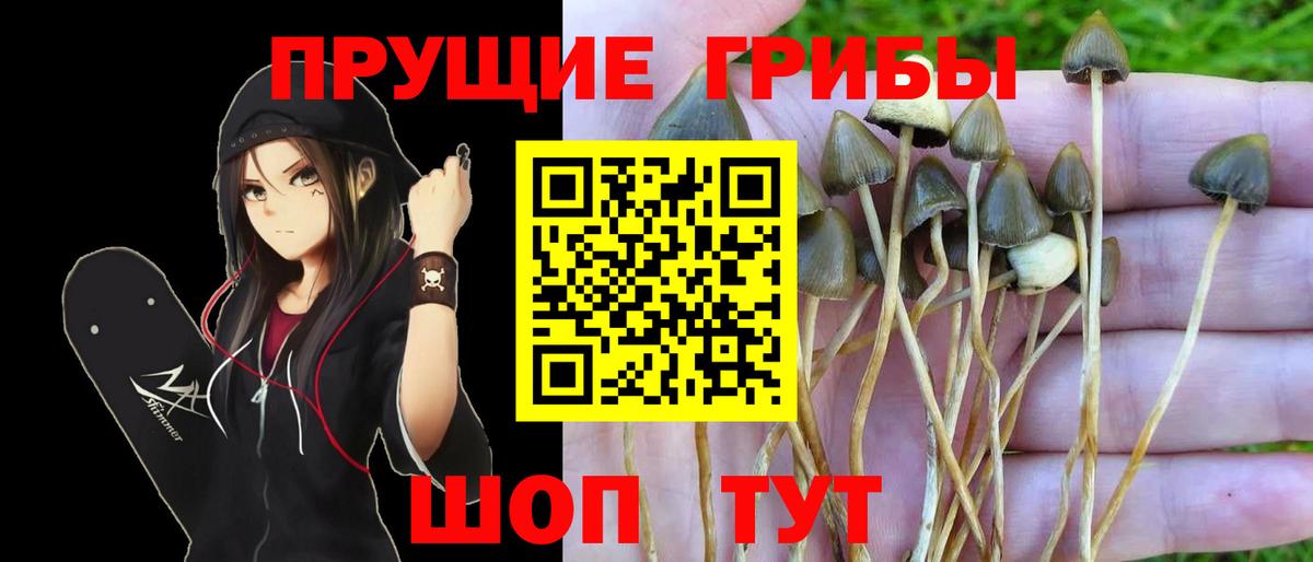 Галлюциногенные грибы прущие грибы Полысаево