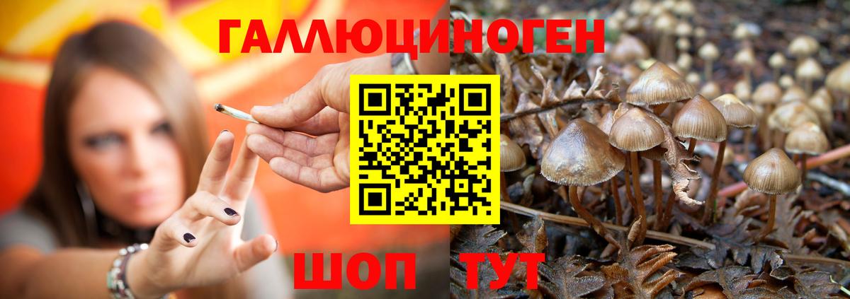 Галлюциногенные грибы MAGIC MUSHROOMS  Вход с VPN  Галлюциногенные грибы мицелий  Полысаево 